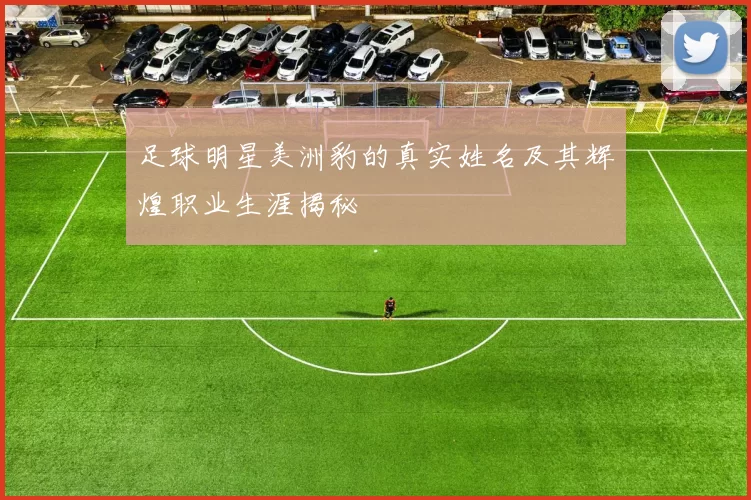 足球明星美洲豹的真实姓名及其辉煌职业生涯揭秘