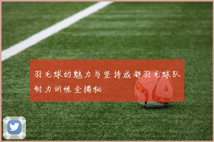羽毛球的魅力与坚持成都羽毛球队耐力训练全揭秘