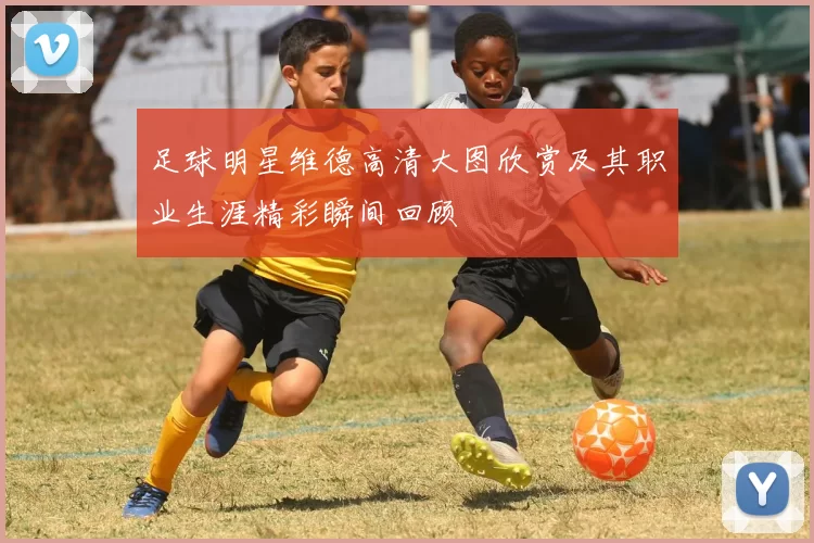 足球明星维德高清大图欣赏及其职业生涯精彩瞬间回顾