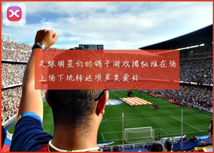足球明星们的鸽子游戏揭秘谁在场上场下玩转这项另类爱好