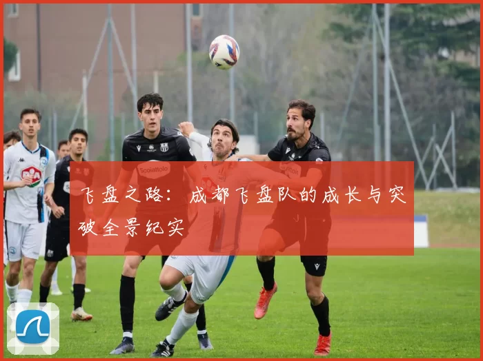 飞盘之路：成都飞盘队的成长与突破全景纪实
