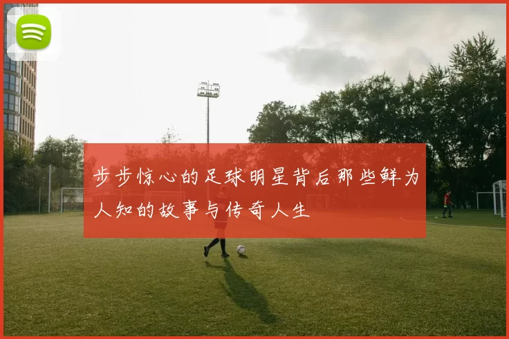 步步惊心的足球明星背后那些鲜为人知的故事与传奇人生