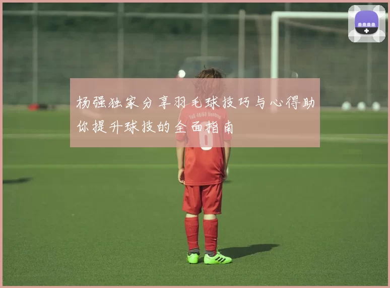 杨强独家分享羽毛球技巧与心得助你提升球技的全面指南