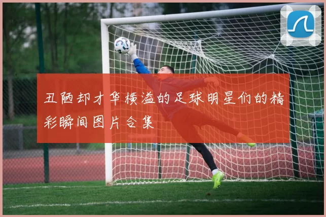 丑陋却才华横溢的足球明星们的精彩瞬间图片合集