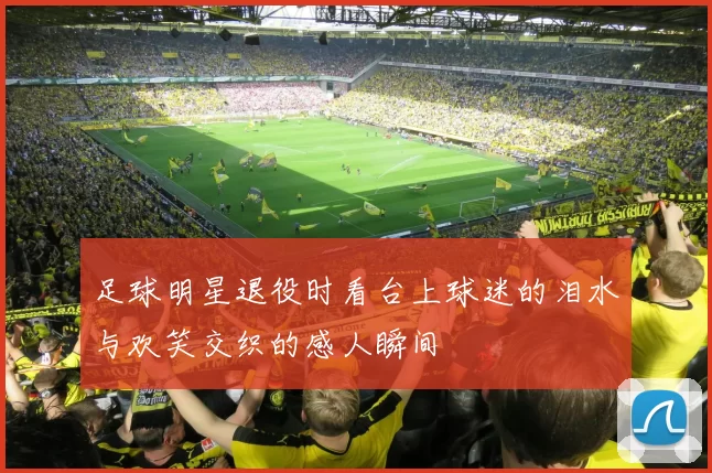 足球明星退役时看台上球迷的泪水与欢笑交织的感人瞬间