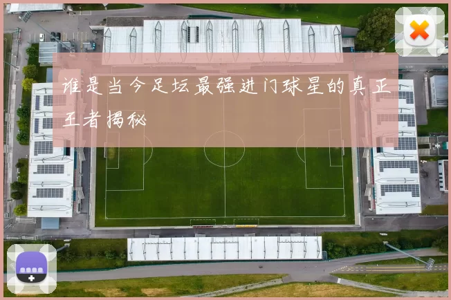 谁是当今足坛最强进门球星的真正王者揭秘