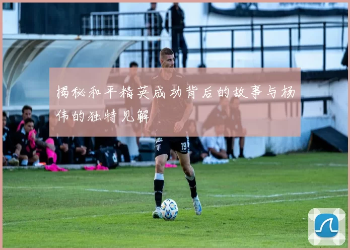 揭秘和平精英成功背后的故事与杨伟的独特见解