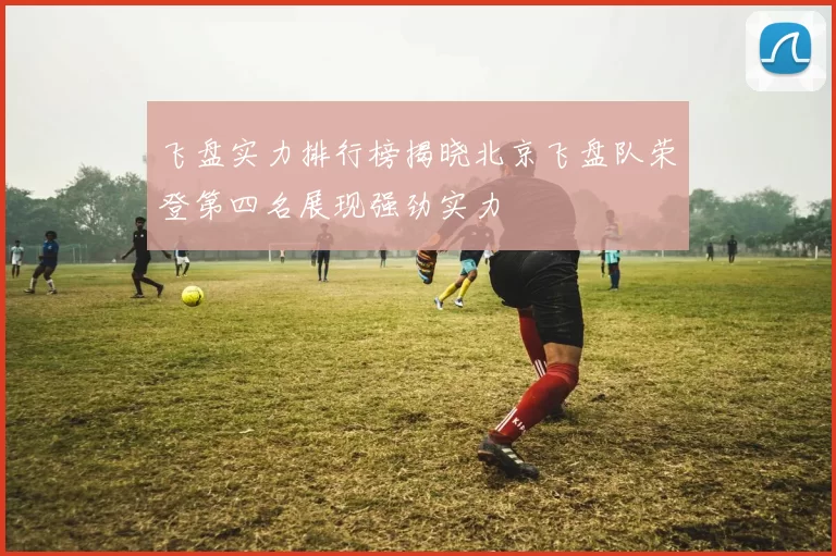 飞盘实力排行榜揭晓北京飞盘队荣登第四名展现强劲实力