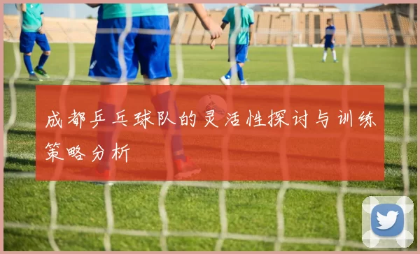 成都乒乓球队的灵活性探讨与训练策略分析