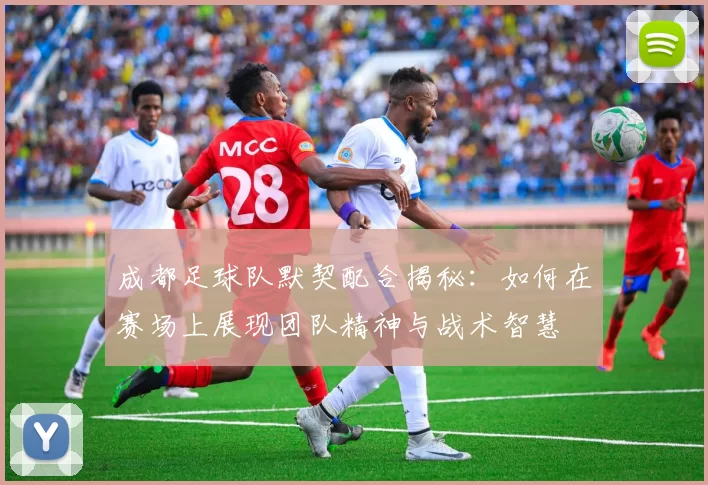成都足球队默契配合揭秘：如何在赛场上展现团队精神与战术智慧