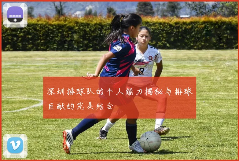 深圳排球队的个人能力揭秘与排球巨献的完美结合