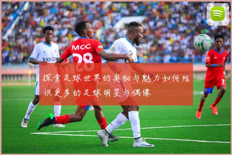 探索足球世界的奥秘与魅力如何结识更多的足球明星与偶像