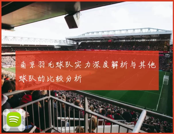南京羽毛球队实力深度解析与其他球队的比较分析