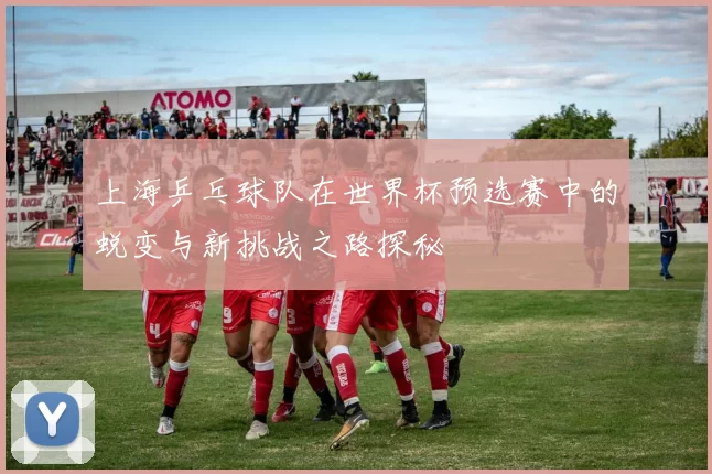 上海乒乓球队在世界杯预选赛中的蜕变与新挑战之路探秘