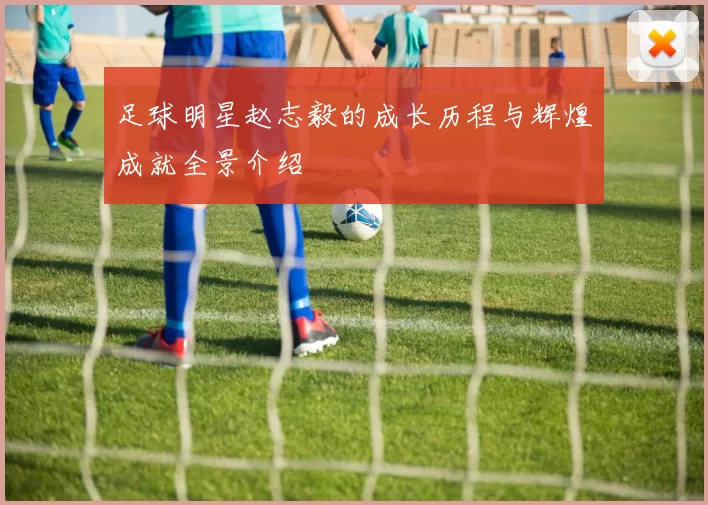 足球明星赵志毅的成长历程与辉煌成就全景介绍
