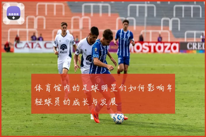 体育馆内的足球明星们如何影响年轻球员的成长与发展